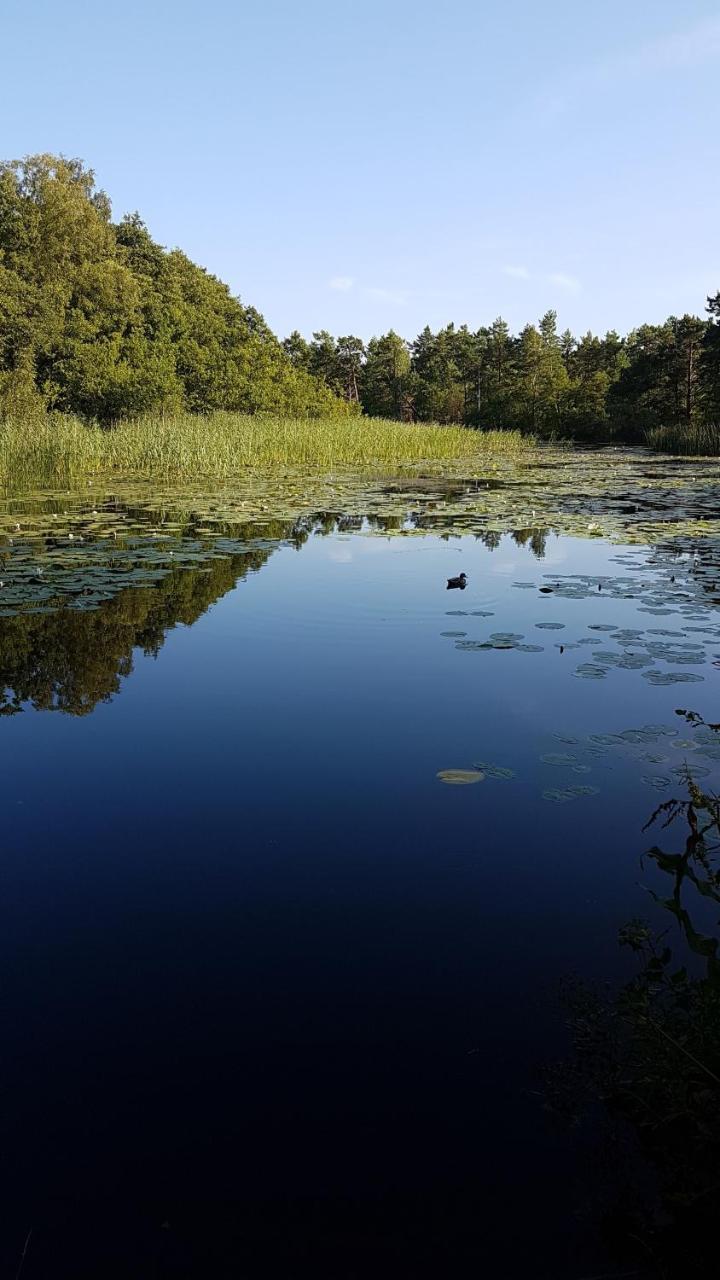 Domki Skandynawskie Kopalino Kültér fotó